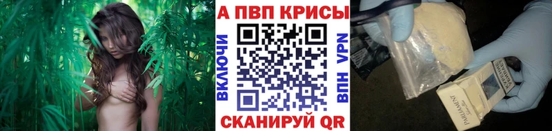 Где купить наркоту Дмитров Канабис Мефедрон Псилоцибиновые грибы Вейп ТГК Cocaine APVP ГАШ