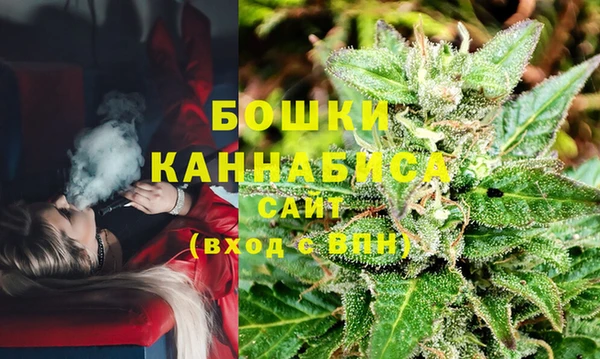 PSILOCYBIN Алексин