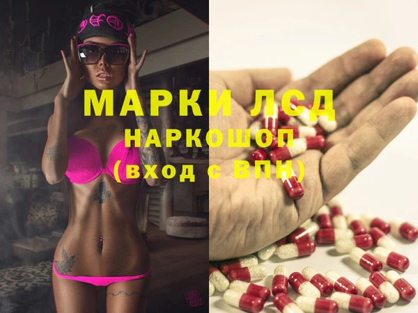 ПСИЛОЦИБИНОВЫЕ ГРИБЫ Строитель