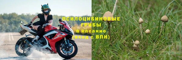 ПСИЛОЦИБИНОВЫЕ ГРИБЫ Строитель