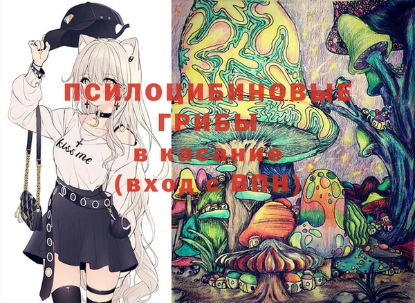 PSILOCYBIN Алексин