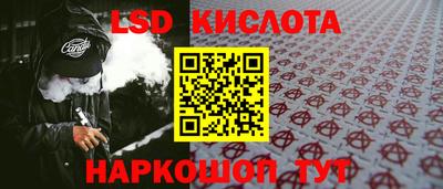 крисы Будённовск