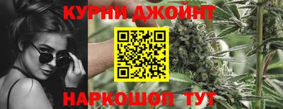 крисы Будённовск