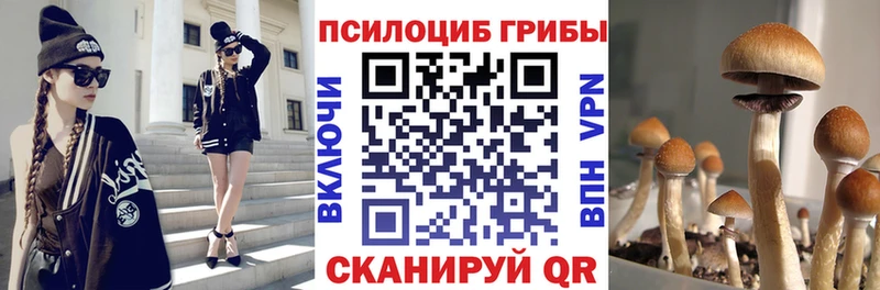 Псилоцибиновые грибы Magic Shrooms Дмитров