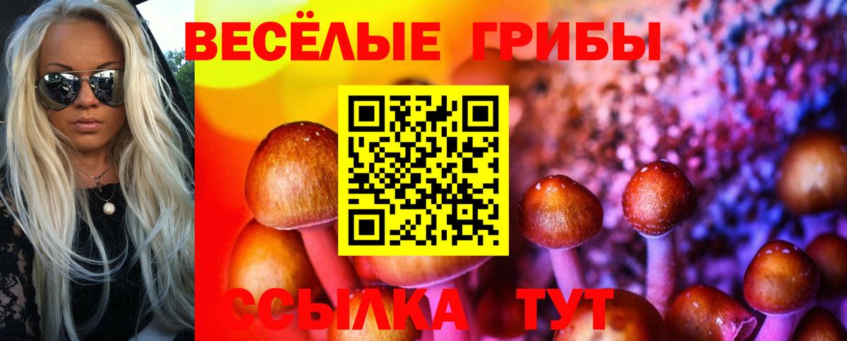 что такое   Псилоцибиновые грибы Cubensis  Галлюциногенные грибы Cubensis  Вход с VPN  Дмитров 