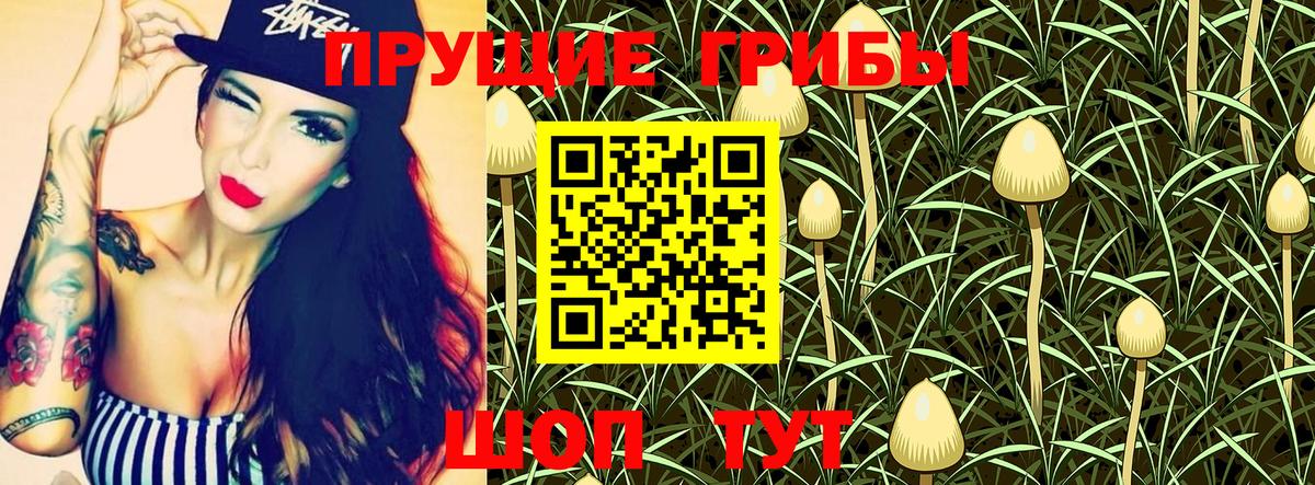 Галлюциногенные грибы MAGIC MUSHROOMS Дмитров