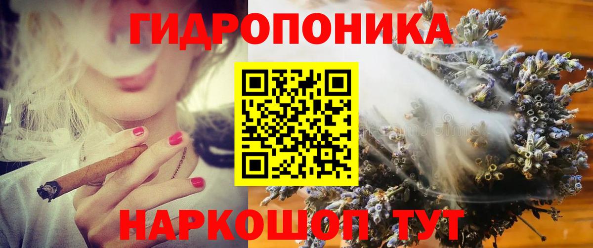 Канабис семена  Вход с VPN  МАРИХУАНА семена  Дмитров  Конопля VHQ 